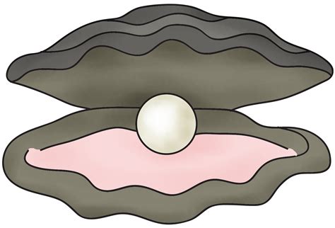 clip art clam